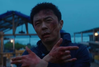刘德华甄子丹力挺！李连杰41岁"儿子"用拳头打回巅峰