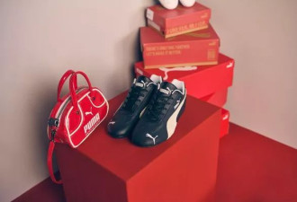 PUMA变中国品牌！安踏收购近3成股权成最大股东