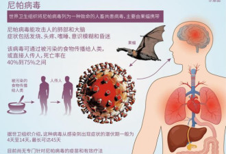 尼帕病毒会成全球大流行吗 专家谈关键一点