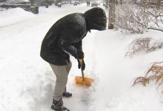 多伦多开始全城大扫雪，市府：清理工作很艰巨，全面恢复需要数天