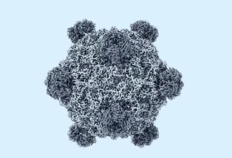 里程碑！科学家用AI首度做出“新病毒”