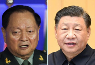 习为何逮捕张有侠，日媒曝四大惊人动因