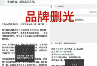 被葛晓倩举报代孕插足！张雨绮大女主人设崩了多品牌删她