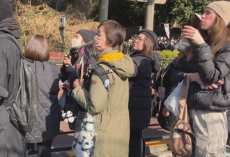 新报现场：日本如何告别最后两只大熊猫？
