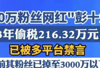 不到72小时四大瓜连炸！代孕出轨 欠税暴雷 郭晶晶躺着也中枪