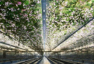 “造梦花匠”：迪奥二零二六春夏高订系列