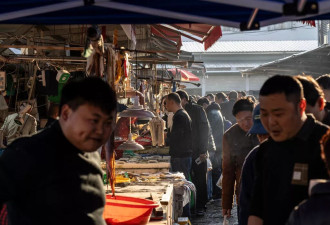 在世界最繁忙的港口感受中国经济的"最好""最坏"