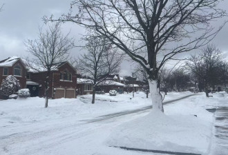 雪带警报生效：安省南部或再降30厘米大雪，多伦多躲过一劫