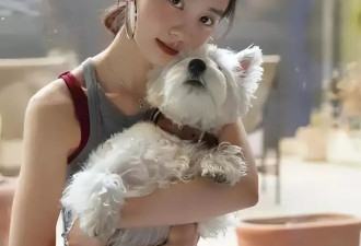 黄磊深夜破防！全英文声明救不了女儿，这次输在哪？