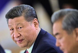 扶“弱主”接班？习近平像朱元璋帮朱允炆铺路？