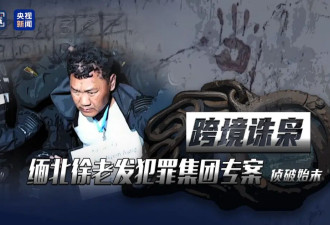 诈骗11亿余元，缅北徐发启案宣判.....