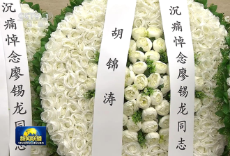 张又侠的伯乐廖锡龙火化 胡锦涛的花圈出现葬礼