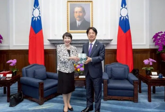 高市为何再提台湾问题？北京如何以经济战反制