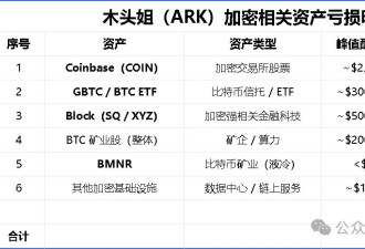 木头姐控币安搞砸加密牛市 何一反击