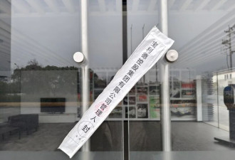 从前二十强到破产清算 宝利德“崩塌”背后