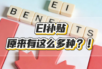 加拿大EI补贴原来有这么多种？！EI福利超详细介绍！