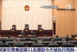缅北明家11人被执行死刑，吓至腿软尿裤
