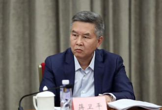 “中国锂王”40亿美元锂矿被智利收走!