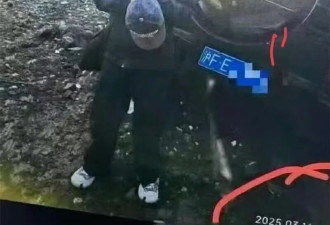 从“退圈预警”到真相大白，金晨发车祸受伤照满脸是血