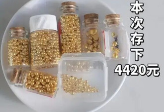 邪修攒黄金的年轻人：捡漏2年，净赚26万