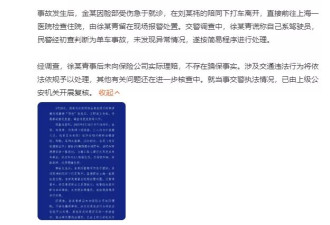 金晨撞车事件全复盘：助理谎报，本人道歉