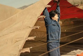 又出口碑爆款，“东北宇宙”的极致故事凭啥总拿捏观众