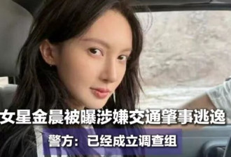 一夜爆红!以为是未来新星,结果销声匿迹了,刘亦菲的话有人信了