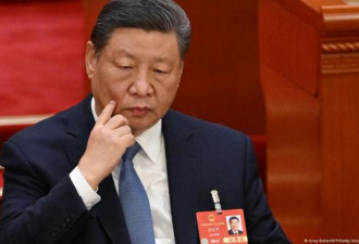 遵照“斯大林逻辑”，习近平必须不断地清洗