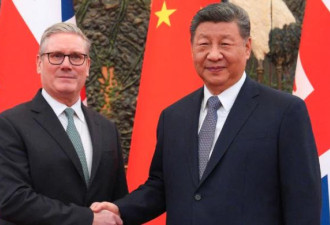 “排队进京”见习近平 这些国家对话战略转向了？