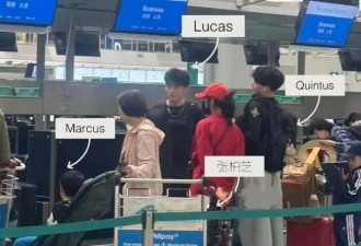 张柏芝又飞澳洲陪Lucas读书，独自拿八九件行李，真是顾大又顾小