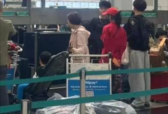张柏芝又飞澳洲陪Lucas读书，独自拿八九件行李，真是顾大又顾小