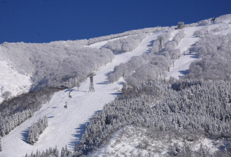 加拿大女子日本滑雪失踪2小时，坠入瀑布盆地遇难