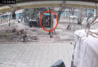 两男孩玩火点燃狗笼后狗狗被烧死，主人发声