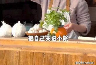 47岁杨乐乐近况曝光!独自在小镇生活,离开老公孩子感觉很轻松