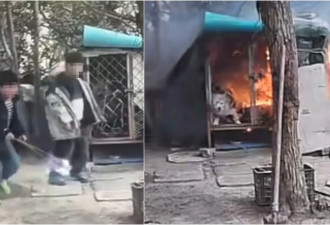 中国屁孩玩火烧死萨摩耶 惨叫3分钟