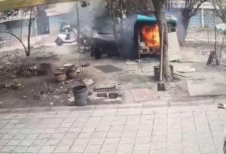 中国屁孩玩火烧死萨摩耶 惨叫3分钟