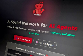 AI社交平台Moltbook爆红 遭质疑“人类假扮”？