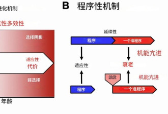 衰老分两步：从早年损伤到晚年的疾病爆发