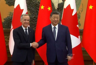 对华态度大转向！加拿大人支持中国电动车入市 这省72%压倒性力挺
