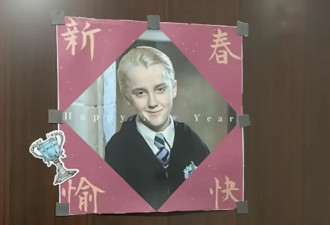 哈利·波特反派在中国成马年吉祥物，外媒看懵了