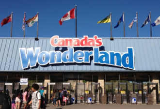 Wonderland开启招聘: 4000个工作机会! 7个岗位开放申请!