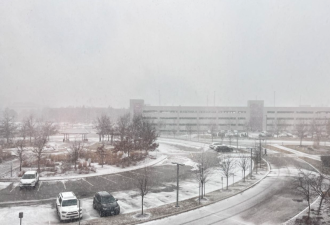 多伦多明天迎新一轮降雪，体感直降-33℃！十多年最狠寒潮来袭