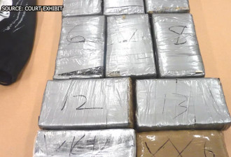 多伦多皮尔逊机场惊险追捕！行李工夹带毒品逃跑被按倒，判刑9年