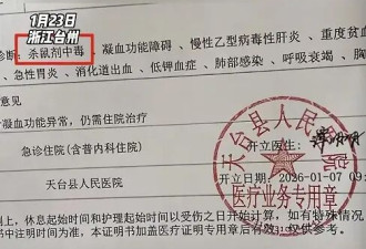 “娃娃菜事件”三次炸裂反转 见证蠢人的巅峰