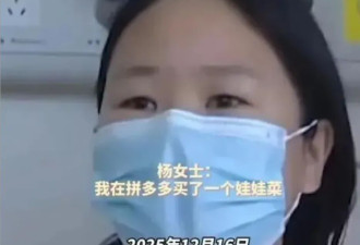 “娃娃菜事件”三次炸裂反转 见证蠢人的巅峰