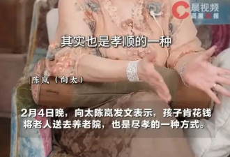 向太称花钱送老人去养老院也是尽孝：肯花钱就是孝顺