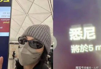 张柏芝澳洲宜家狂奔8大箱！为儿子布置新家，亲自动手组装家私，18岁谢振轩帮忙