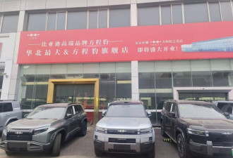 中国最大汽车城“停业店”扎堆：合资豪华迎闭店潮