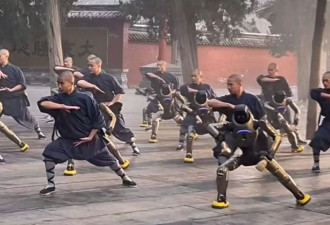 杨丽萍岳云鹏领衔！河南春晚官宣第二波阵容...