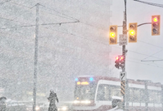 环境部发布多伦多寒冷警告：80km/h强风+吹雪，体感-31°C